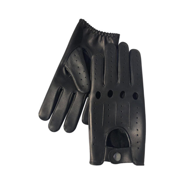 Fashion Gloves WG 312
