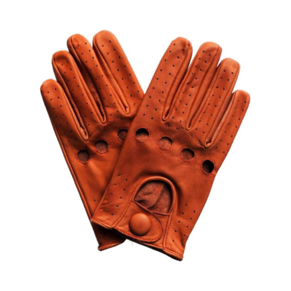 Fashion Gloves WG 309