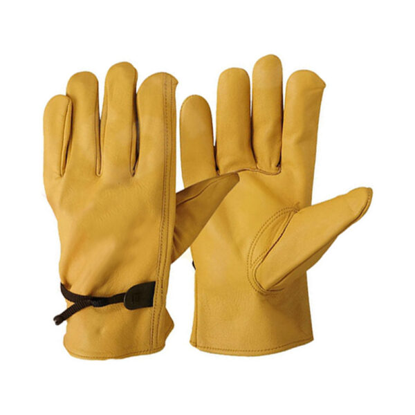 Driver Gloves WG 204