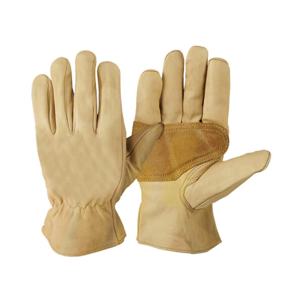 Driver Gloves WG 205