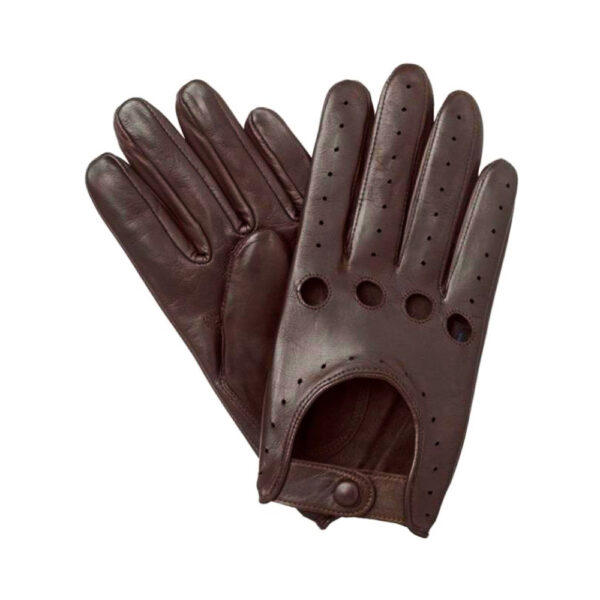 Fashion Gloves WG 310