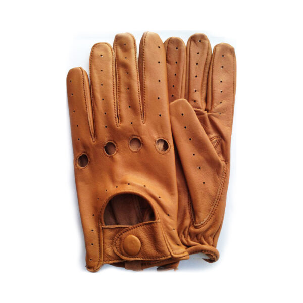 Fashion Gloves WG 311