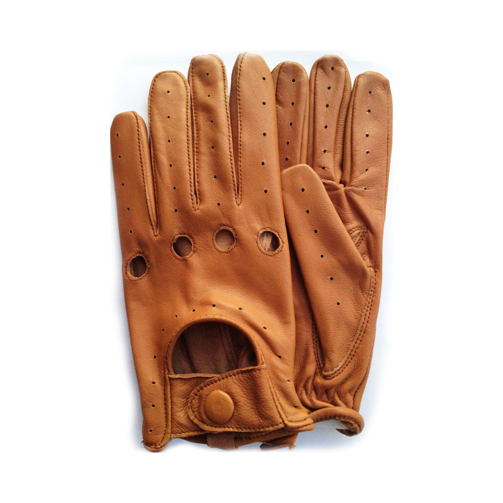 Fashion Gloves WG 311