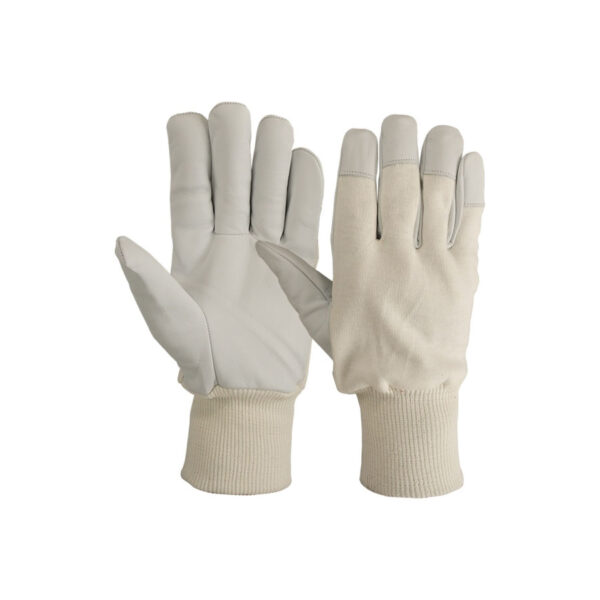 Driver Gloves WG 212